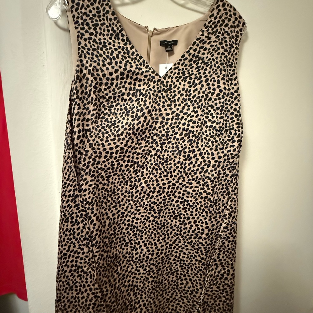 Ann Taylor Cream and Brown Sheath Midi Dress